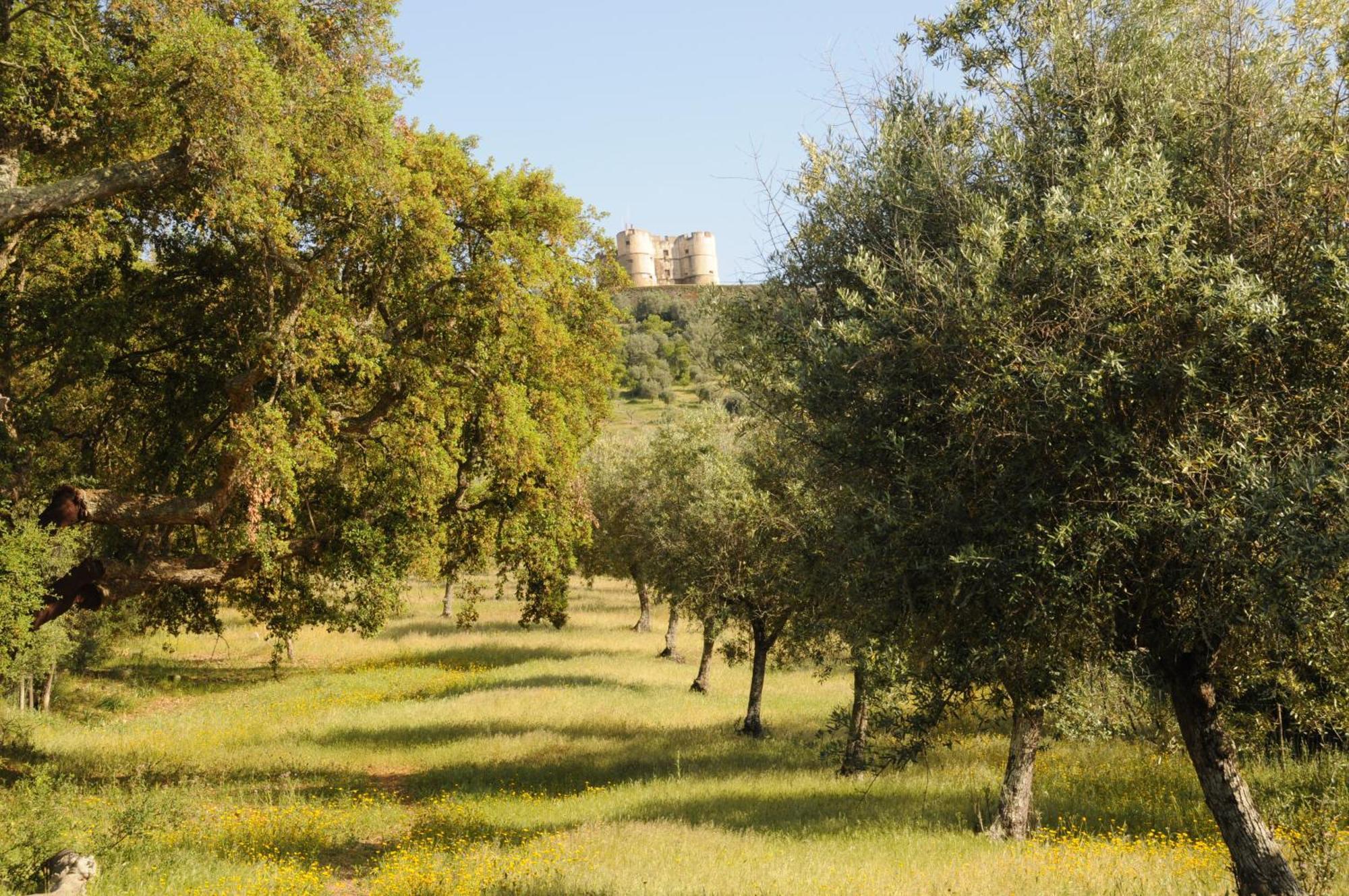 Quinta De Evoramonte Villa Estremoz Exterior photo